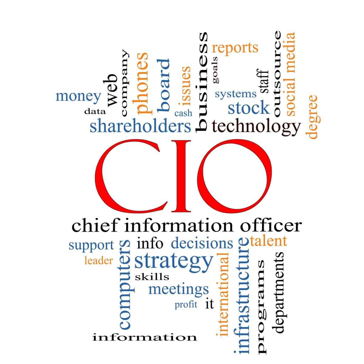 CIO Word Cloud Concept