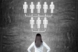 Leadership Hierarchy - CTO Academy