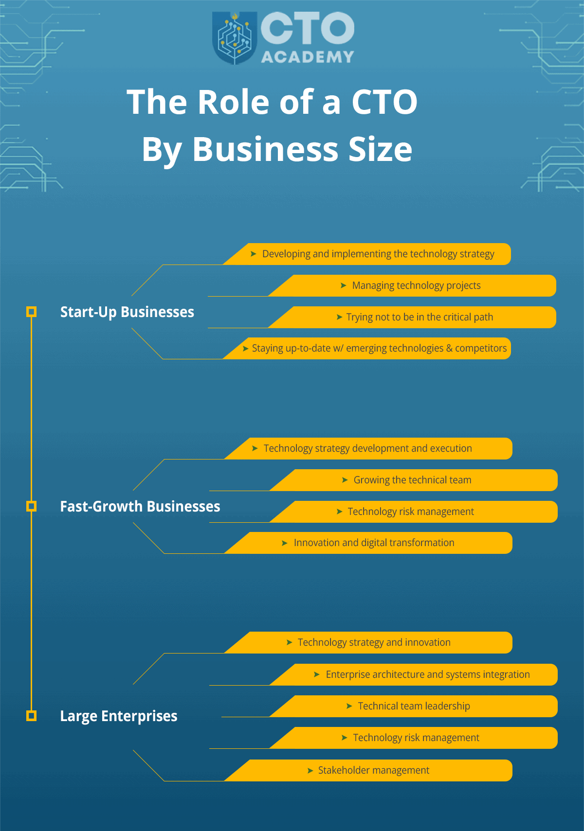 Infographic summaries of the role of a chief technology officer by business size