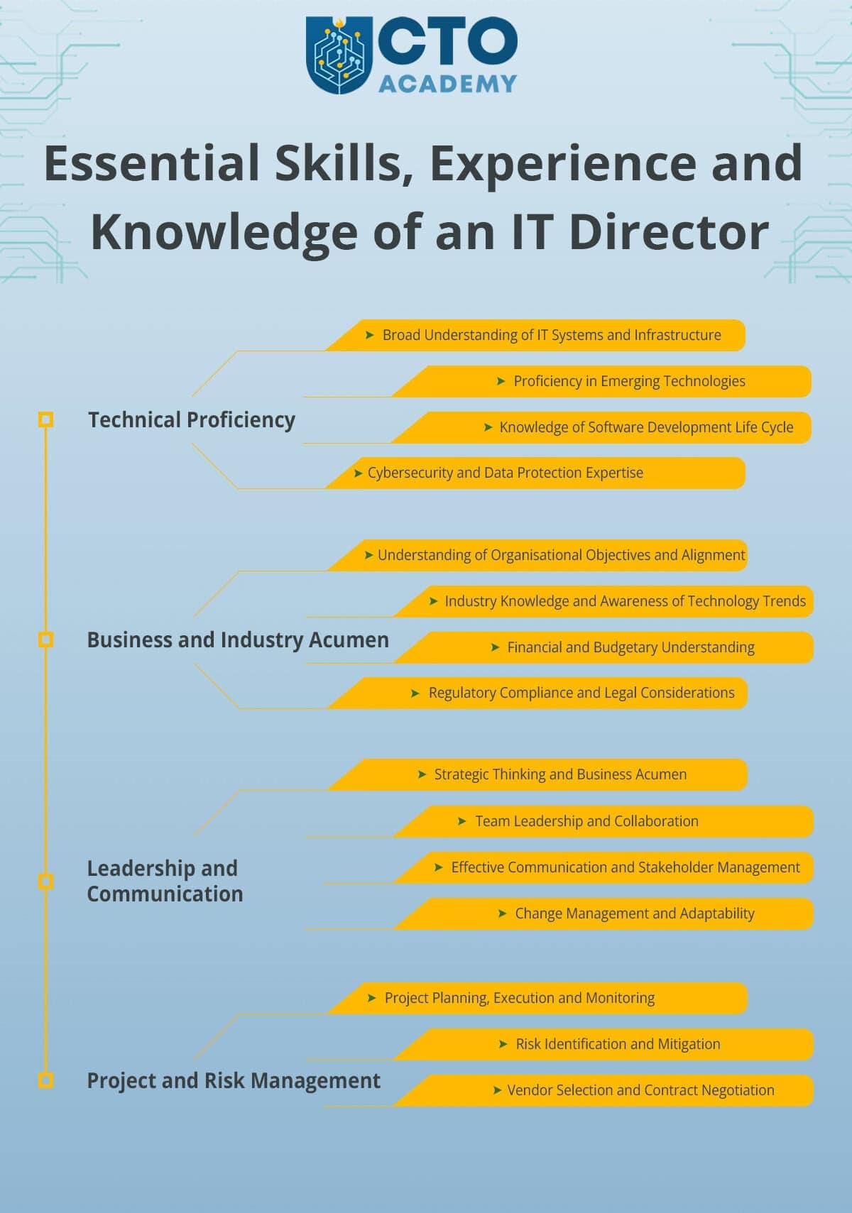 Essential skills, experience and knowledge of an IT Director summary