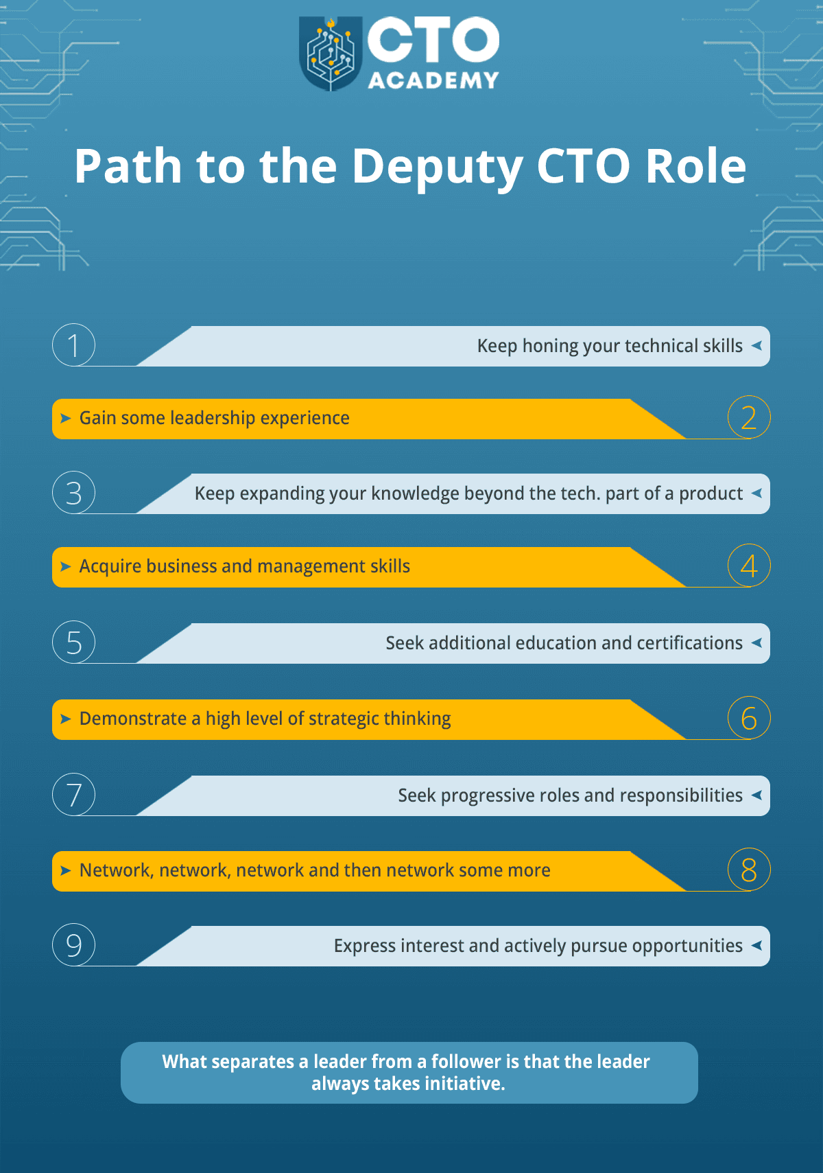 Path to the Deputy CTO role summary