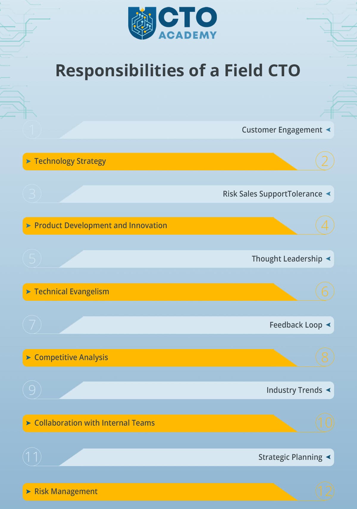 Responsibilities of a Field CTO - infographic summary