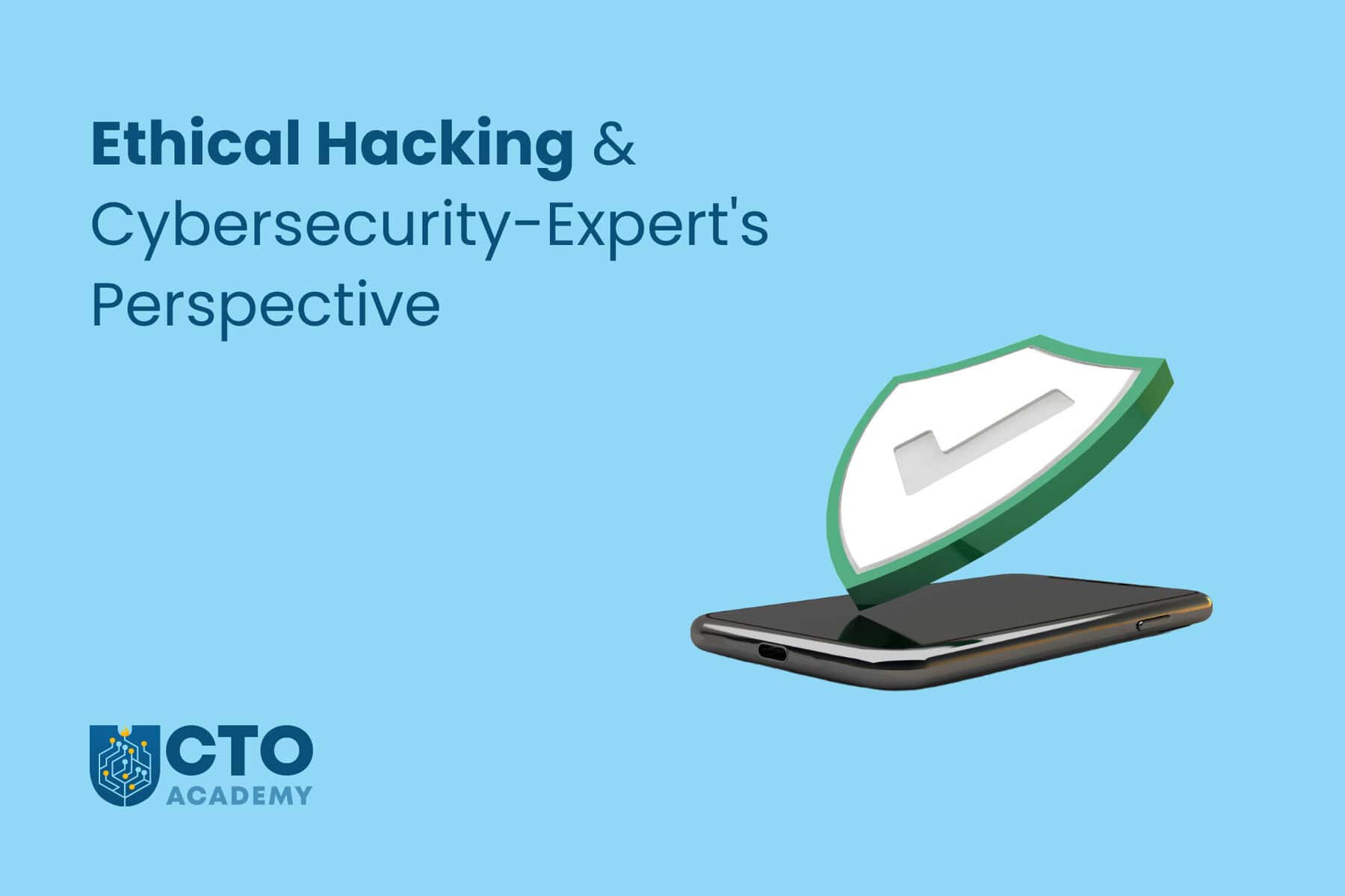 ethical hacking and cybersecurity - expert perspective