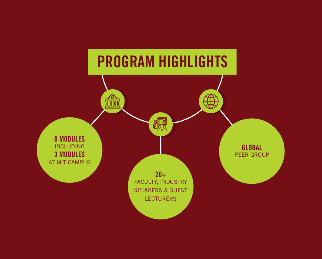 MIT Technology Leadership Program highlights - infographic presentation
