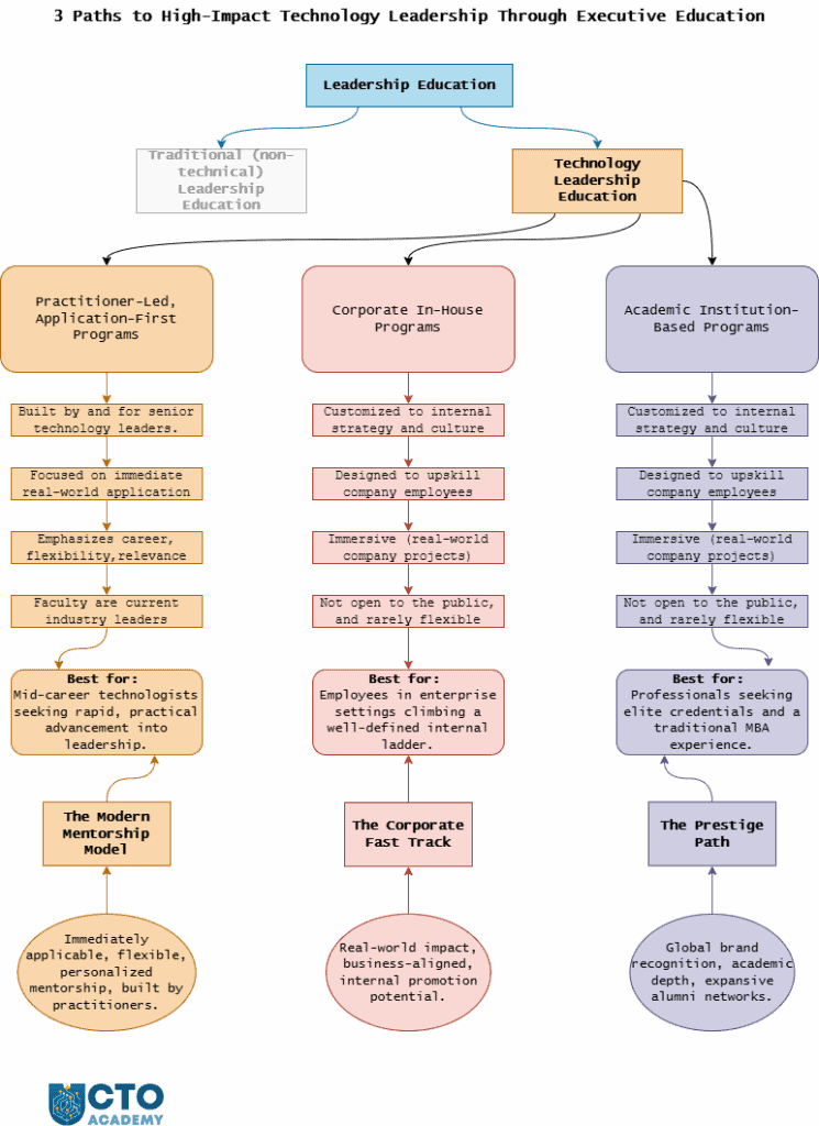 3 main categories of digital technology leadership programs - infographic/visual presentation showing disambiguation with additional explanations of purpose, intent, structure, goals, and real-world applicability of each category.