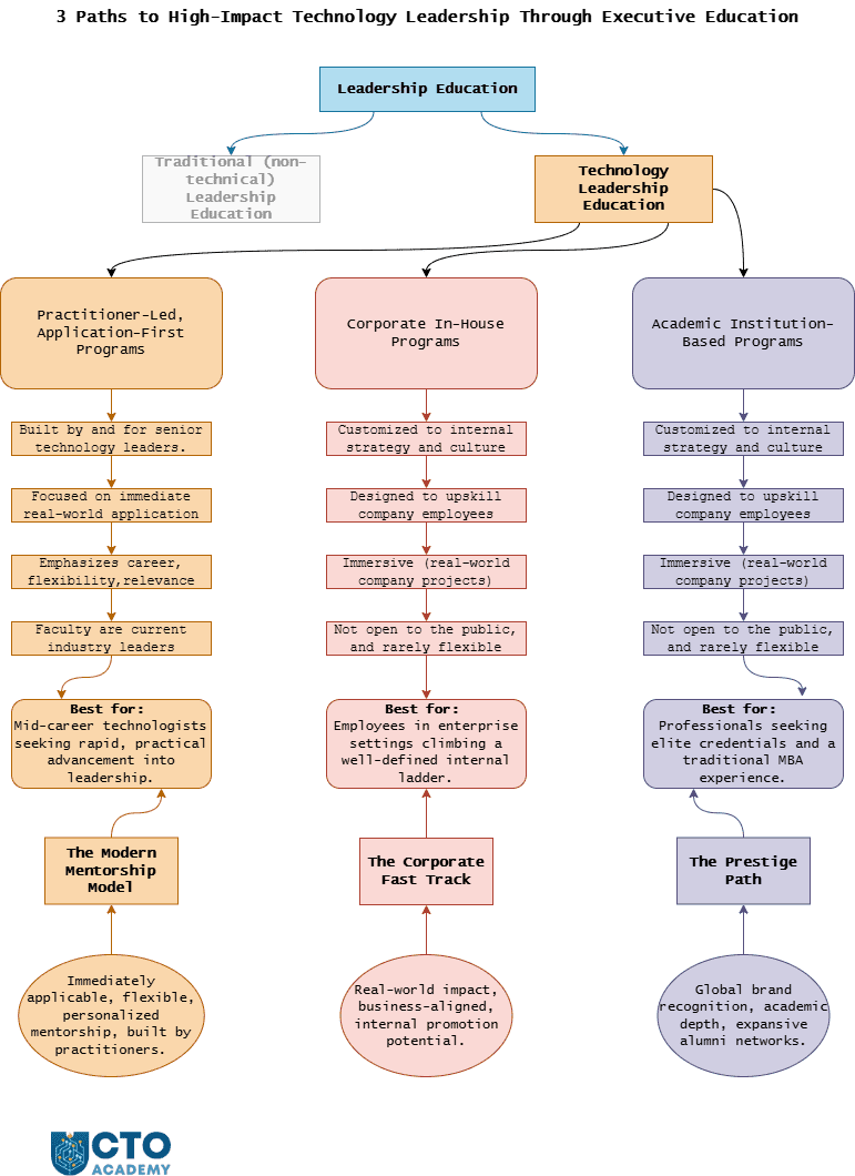 3 main categories of digital technology leadership programs - infographic/visual presentation showing disambiguation with additional explanations of purpose, intent, structure, goals, and real-world applicability of each category.