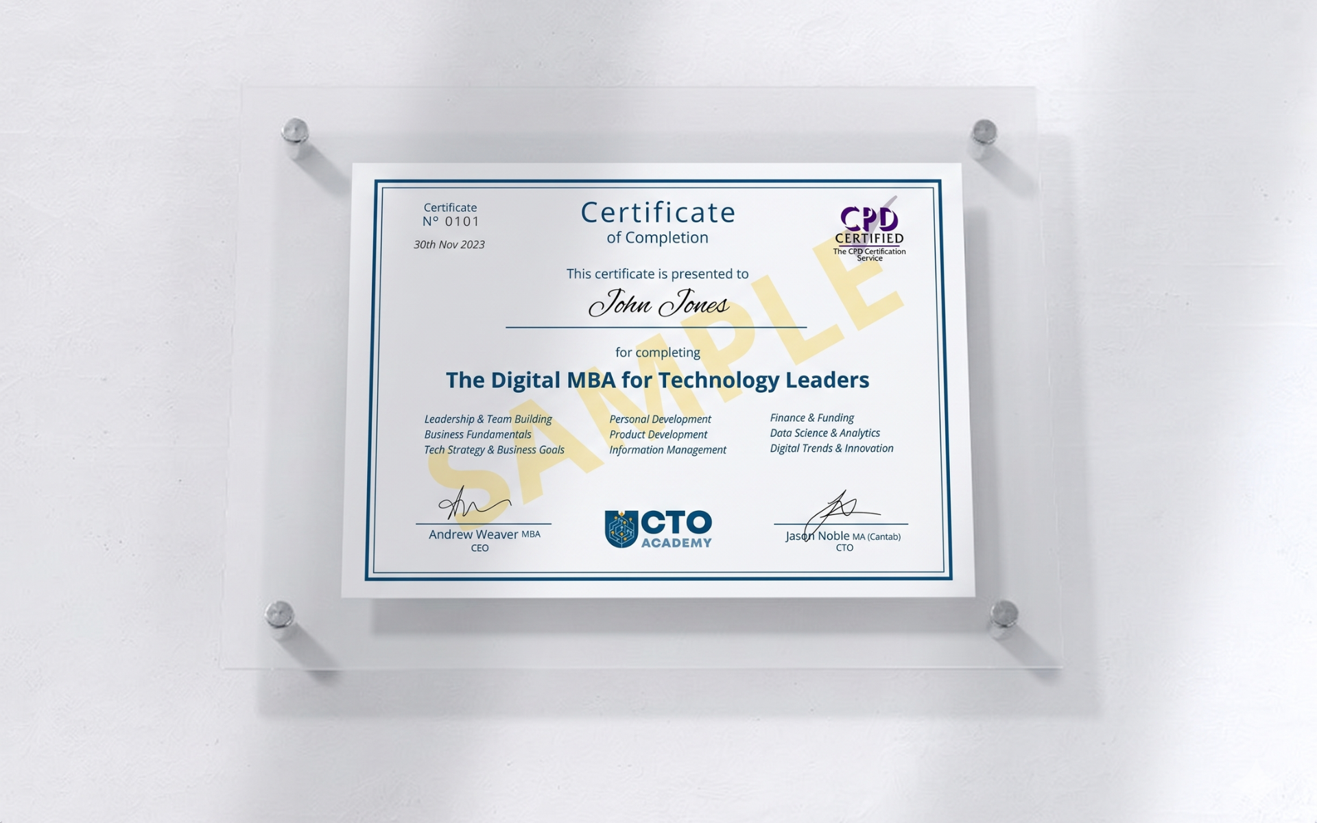 CTO Academy Certification of Completion of the Digital MBA for Technology Leaders